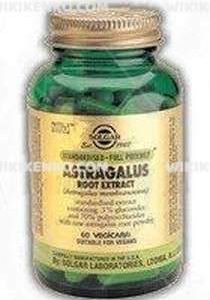 Astragalus Root Extract Capsule
