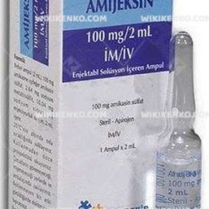 Amijeksin Injection Solution Iceren Ampul 100 Mg