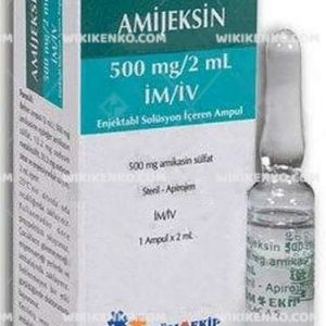 Amijeksin Injection Solution Iceren Ampul 500 Mg
