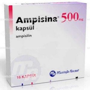 Ampisina Capsule  250 Mg