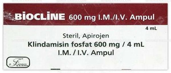 Biocline Im/Iv Ampul 600 Mg