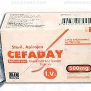 Cefaday I.V. Injection Powder Iceren Vial 0.5 G