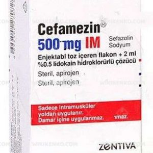 Cefamezin Im Injection Powder Iceren Vial 500 Mg