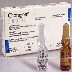Choragon I.M. Injection Solution Icin Powder Ve Cozucu Ampul