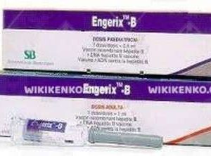 Engerix – B Hepatit B Vaccine Vial (Pediatrik)