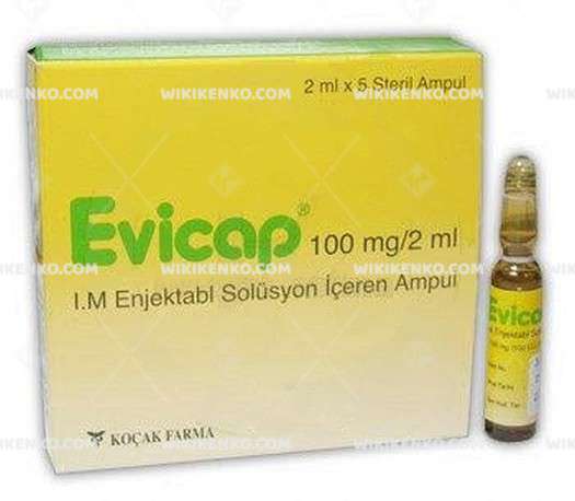 Evicap I.M. Injection Solution Iceren Ampul
