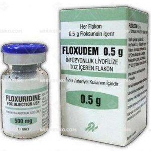 Floxudem Infusionluk Liyofilize Powder Iceren Vial