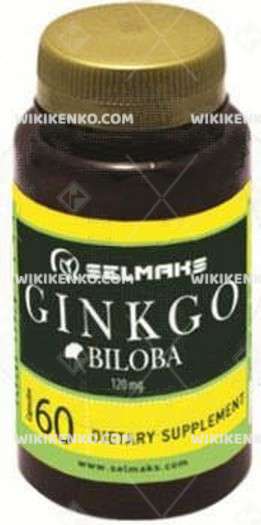 Ginkgo Biloba Capsule 120 Mg