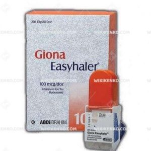 Giona Easyhaler Inhalation Icin Powder  100 Mcg