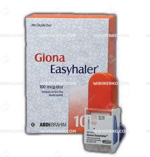 Giona Easyhaler Inhalation Icin Powder 100 Mcg