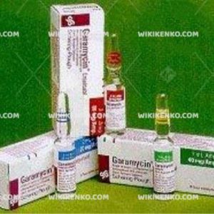 Garamycin Injection Ampul  20 Mg/2Ml