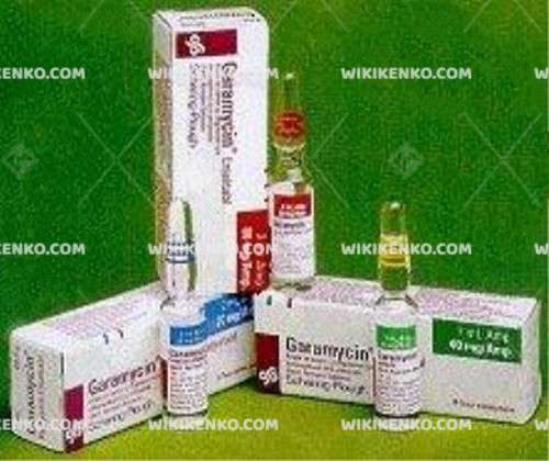 Garamycin Injection Ampul 20 Mg/2Ml