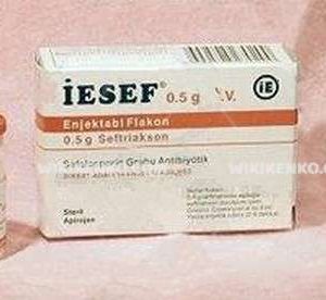 Iesef Iv Injection Powder Iceren Vial 0.5 G