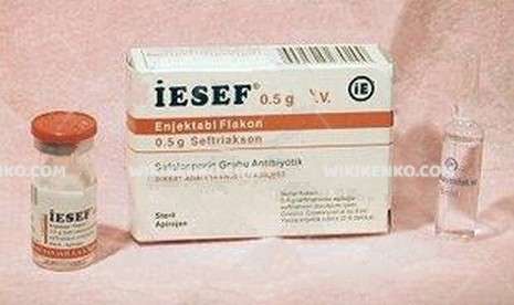 Iesef Iv Injection Powder Iceren Vial 0.5 G