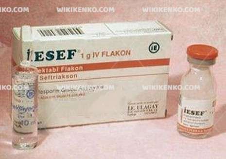 Iesef Iv Injection Powder Iceren Vial 1 G