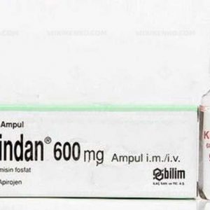 Klindan Im/Iv Injection Solution Iceren Ampul 600 Mg