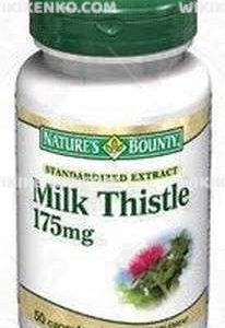 Milk Thistle Capsule