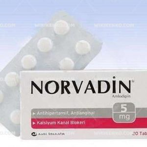 Northvital L – Karnitin, L – Arginin Vitamin , Mineral , Probiyotik Mikroorganizma Iceren Capsule Te