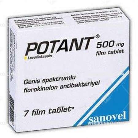 Potant Film Tablet 500 Mg