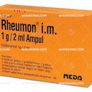 Rheumon I.M. Injection Solution Iceren Ampul