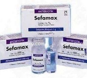 Sefamax Im/Iv Injection Powder Iceren Vial 500 Mg