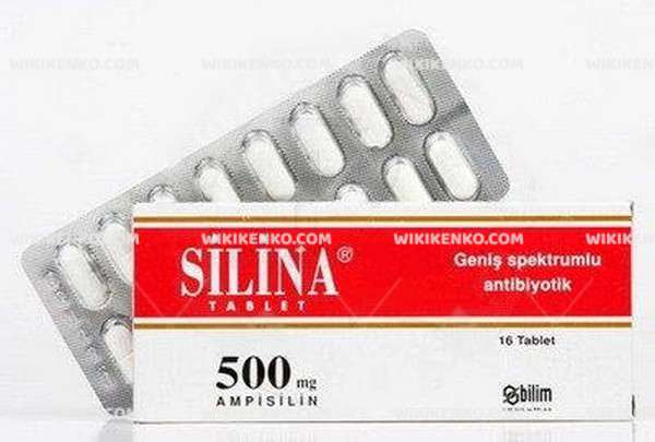 Silina Tablet 500 Mg