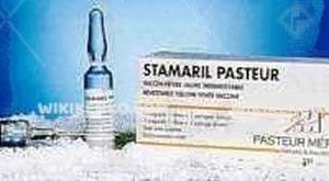Stamaril Suspension Icin Liyofilize Powder Iceren Vial