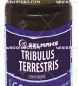 Tribulus Terrestris Capsule