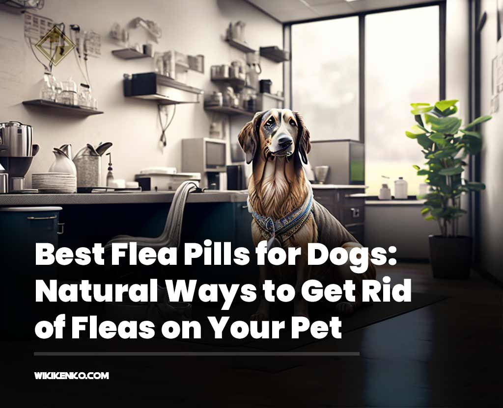 You are currently viewing Best Flea Pills for Dogs: Natural Ways to Get Rid of Fleas on Your Pet