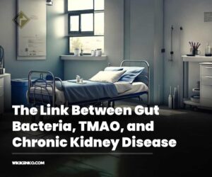 The Link Between Gut Bacteria, TMAO, and Chronic Kidney Disease