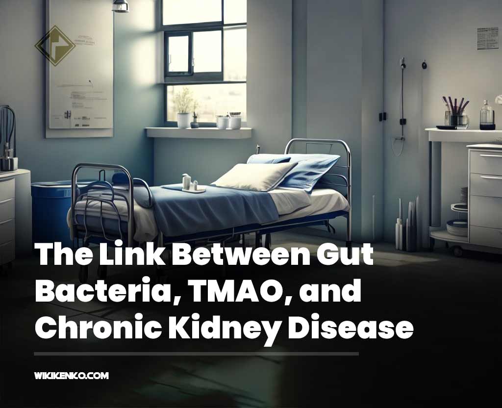 You are currently viewing The Link Between Gut Bacteria, TMAO, and Chronic Kidney Disease