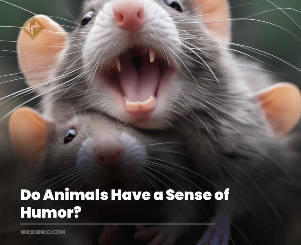 You are currently viewing Do Animals Have a Sense of Humor? This Scientist Has Been Tickling Rats for Years to Find Out