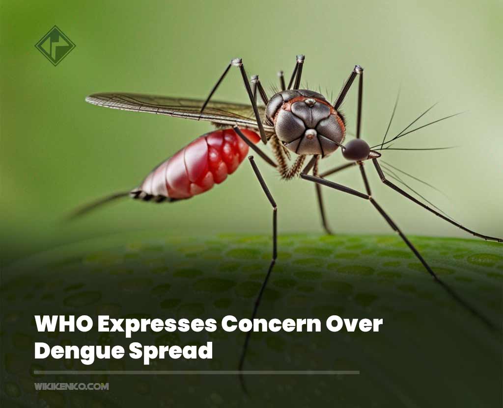 You are currently viewing WHO Expresses Concern Over Dengue Spread
