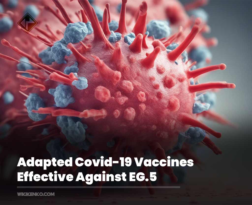 You are currently viewing Adapted Covid-19 Vaccines Effective Against EG.5