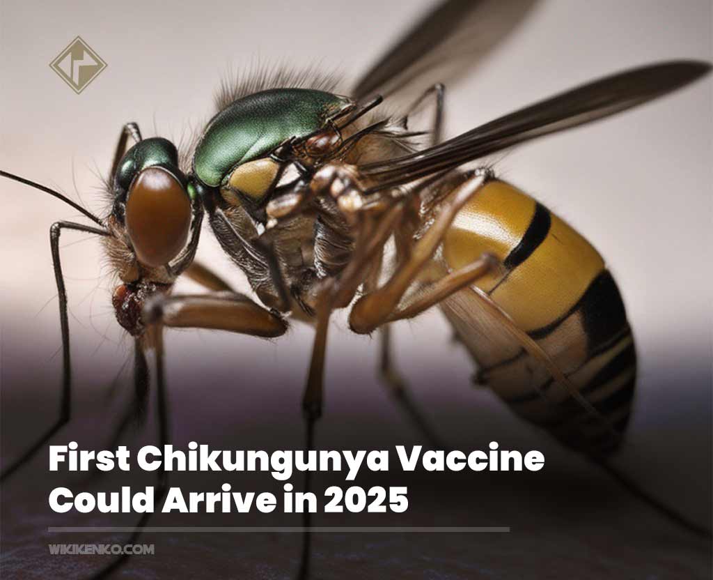 You are currently viewing First Chikungunya Vaccine Could Arrive in 2025
