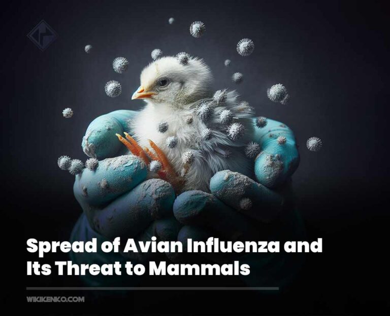 Spread of Avian Influenza and Its Threat to Mammals