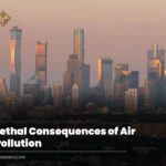 Lethal Consequences of Air Pollution