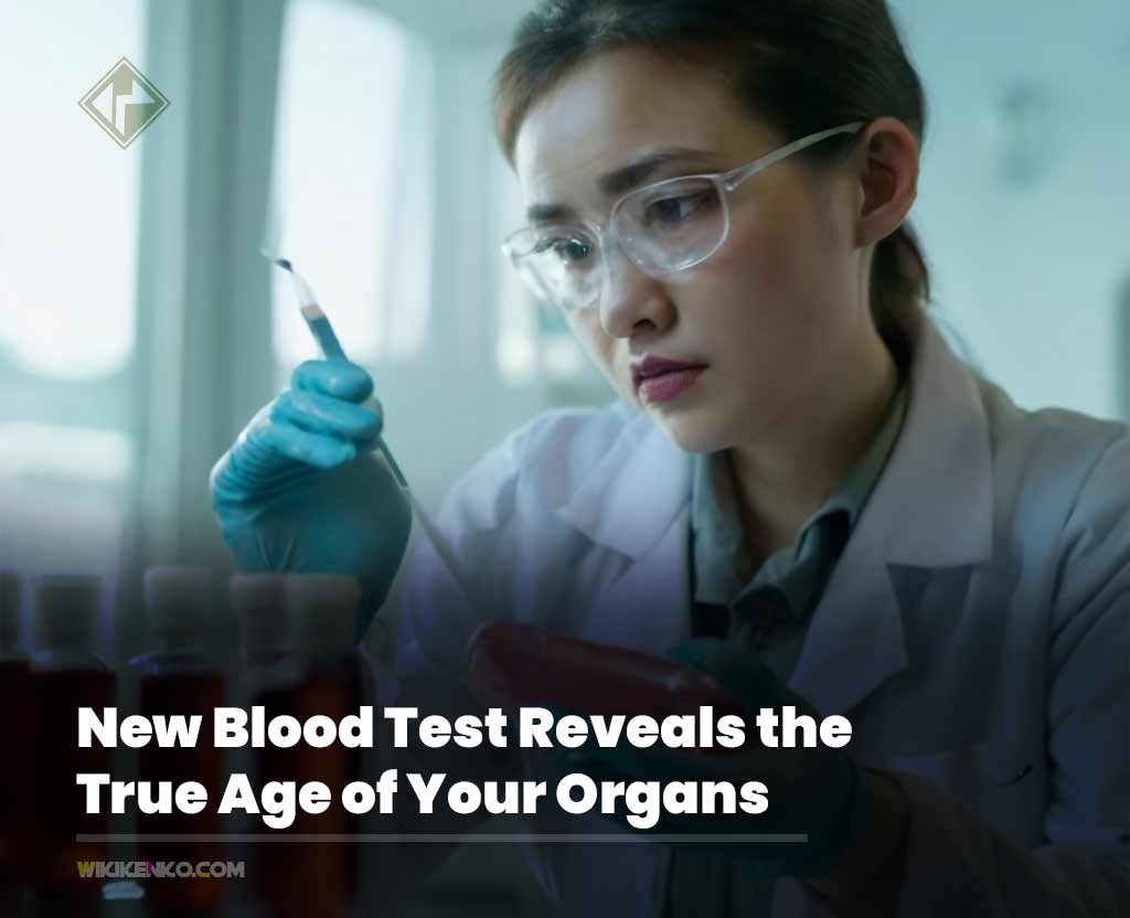 New Blood Test Reveals the True Age of Your Organs